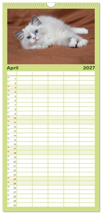 Produktbild: Familienplaner 2027 - Ragdoll Kitten mit 5 Spalten (Wandkalender, 21 x 45 cm) CALVENDO