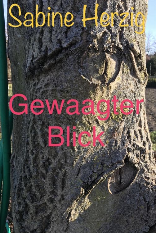 Produktbild: Gewaagter Blick