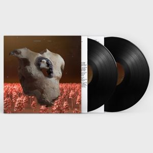 Produktbild: Torso