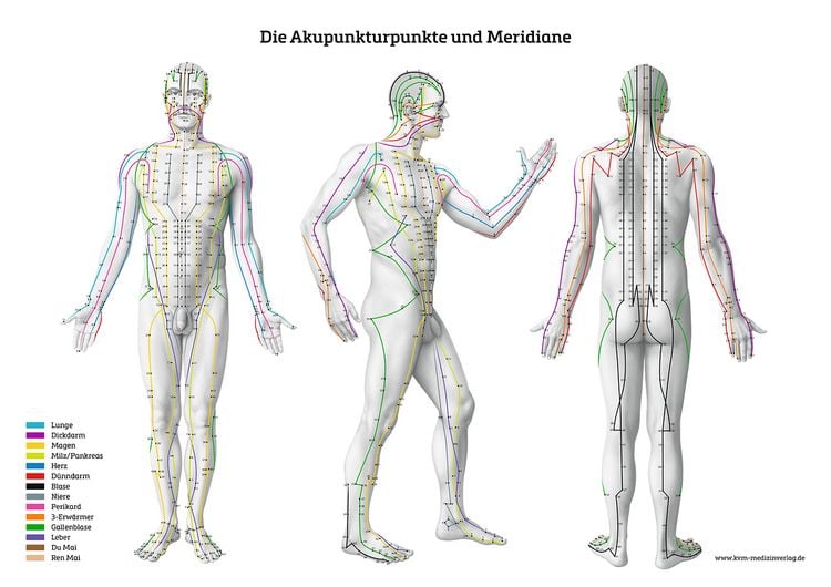 Produktbild: Lernposter &ndash; Die Akupunkturpunkte und Meridiane