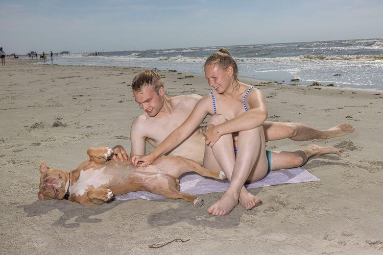 Produktbild: Hundestrand