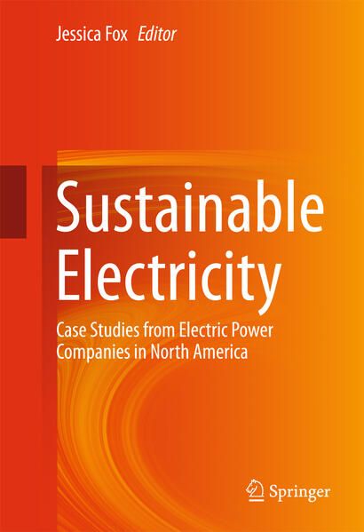 Produktbild: Sustainable Electricity