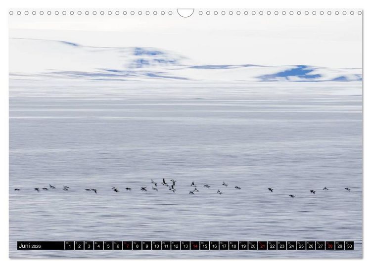 Produktbild: Spitzbergen - Arktische Impressionen (Wandkalender 2026 DIN A3 quer), CALVENDO Monatskalender
