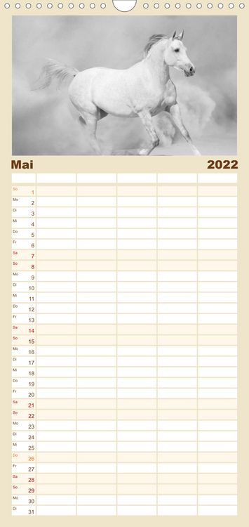 Produktbild: Familienplaner Arabische Pferde (Wandkalender 2022 , 21 cm x 45 cm, hoch)