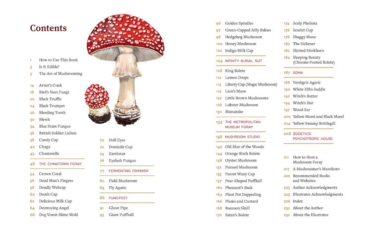 Produktbild: Mushrooming