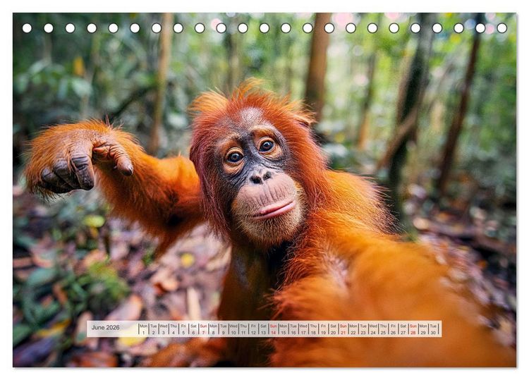 Produktbild: Selfie Shot (Desk Calendar 2026 DIN A5 landscape), CALVENDO 12 Month DeskCalendar