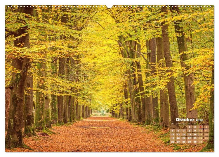 Produktbild: Alleen: Der Weg ist das Ziel (hochwertiger Premium Wandkalender 2026 DIN A2 quer), Kunstdruck in Hochglanz
