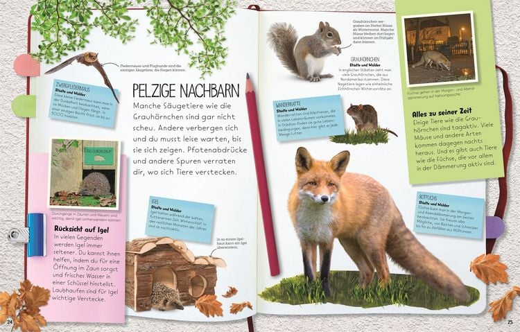 Produktbild: Wilde Natur