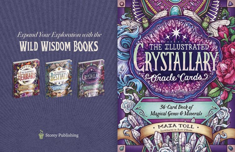 Produktbild: Illustrated Crystallary Oracle Cards