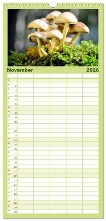 Produktbild: Familienplaner 2026 - Schwammerl Egerlinge Pilze mit 5 Spalten (Wandkalender, 21 x 45 cm) CALVENDO