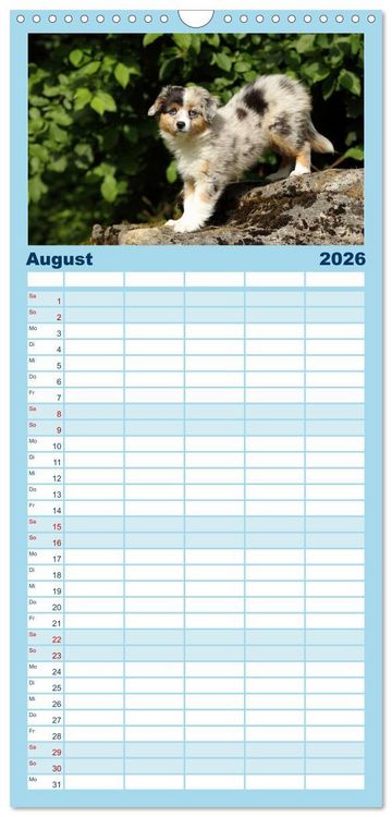 Produktbild: Familienplaner 2026 - Welpen - Puppies mit 5 Spalten (Wandkalender, 21 x 45 cm) CALVENDO