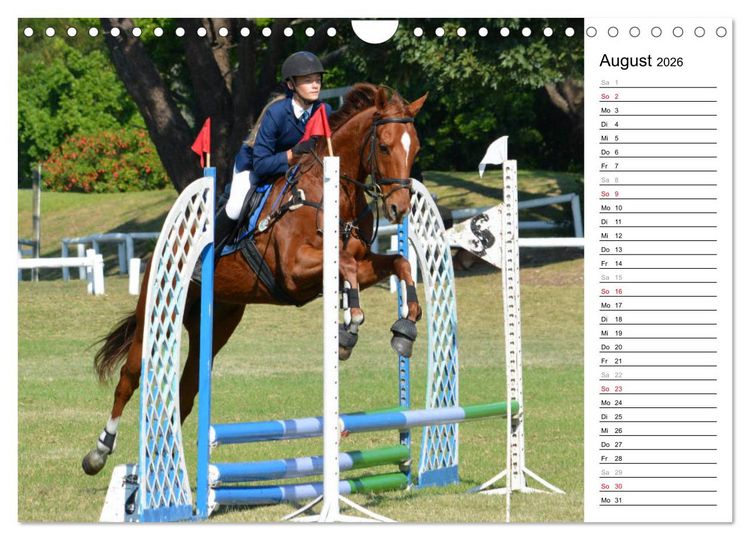 Produktbild: Mein Reitsport Kalender (Wandkalender 2026 DIN A4 quer), CALVENDO Monatskalender