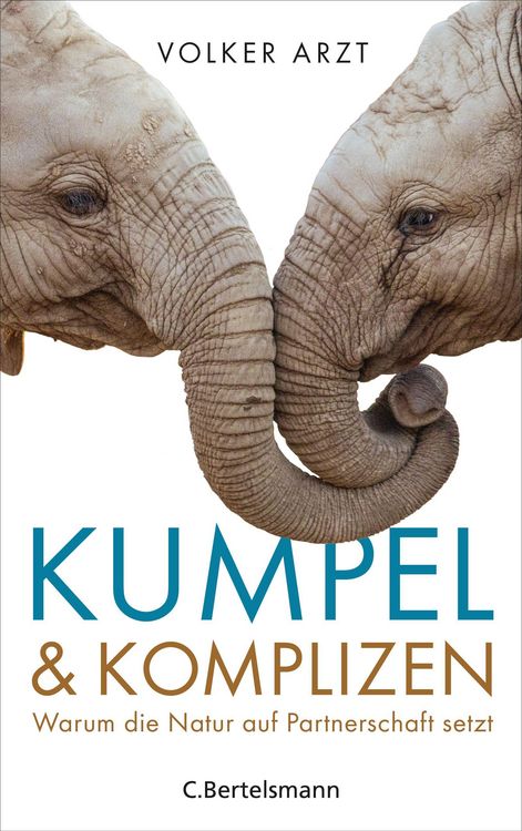 Produktbild: Kumpel und Komplizen
