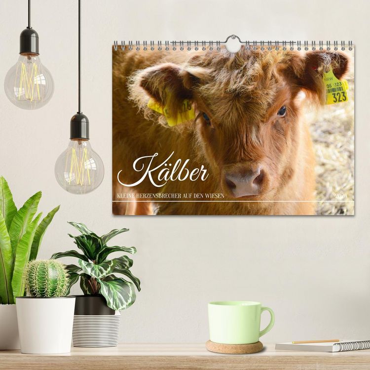Produktbild: K&auml;lber - Kleine Herzensbrecher auf den Wiesen (Wandkalender 2026 DIN A4 quer), CALVENDO Monatskalender
