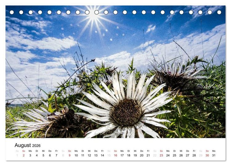 Produktbild: Naturerlebnis im Biosph&auml;renreservat Rh&ouml;n (Tischkalender 2026 DIN A5 quer), CALVENDO Monatskalender