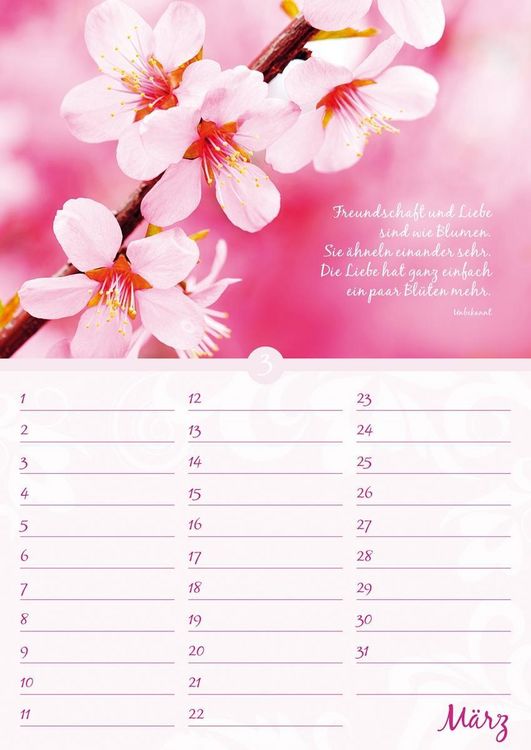 Produktbild: Geburtstagskalender Bl&uuml;tenpracht - immerw&auml;hrend - (21 x 30)