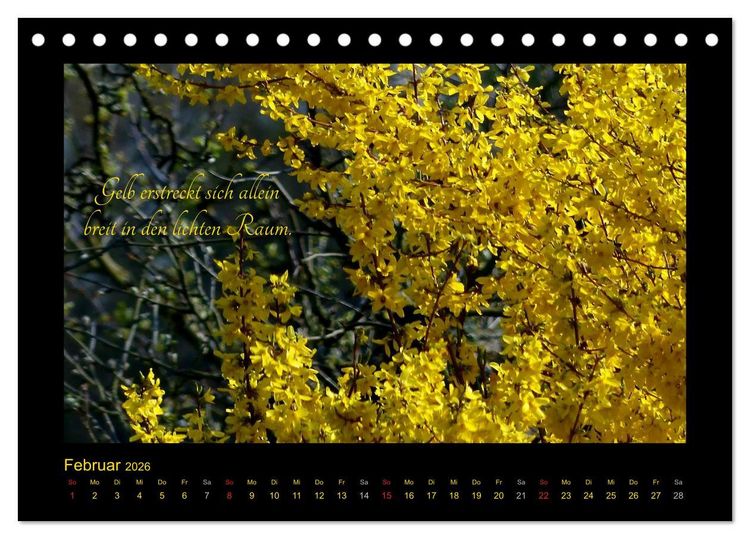 Produktbild: Goethes Gelb Gedanken zur Farbe (Tischkalender 2026 DIN A5 quer), CALVENDO Monatskalender