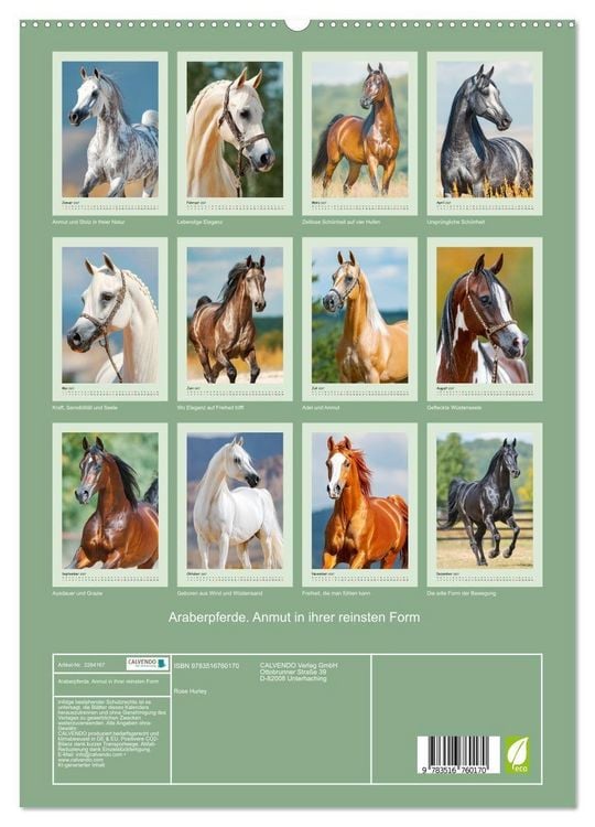 Produktbild: Araberpferde. Anmut in ihrer reinsten Form (hochwertiger Premium Wandkalender 2027 DIN A2 hoch), Kunstdruck in Hochglanz