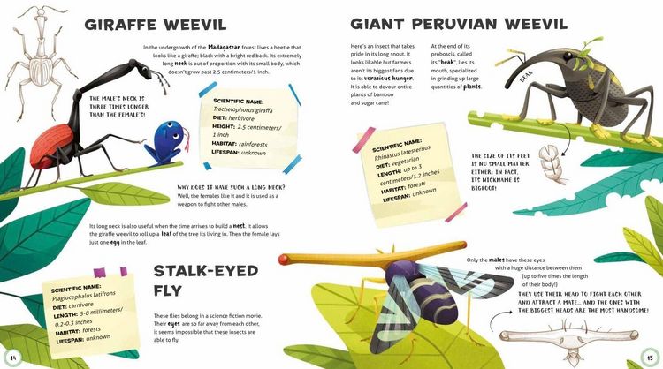 Produktbild: Weird and Wonderful Animals