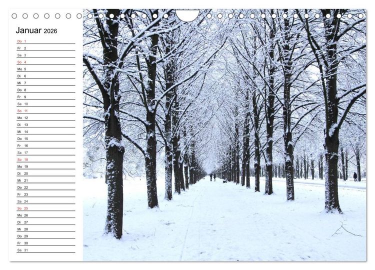 Produktbild: Hannover erleben (Wandkalender 2026 DIN A4 quer), CALVENDO Monatskalender