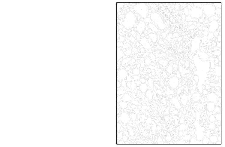 Produktbild: Ausmalen und Entdecken