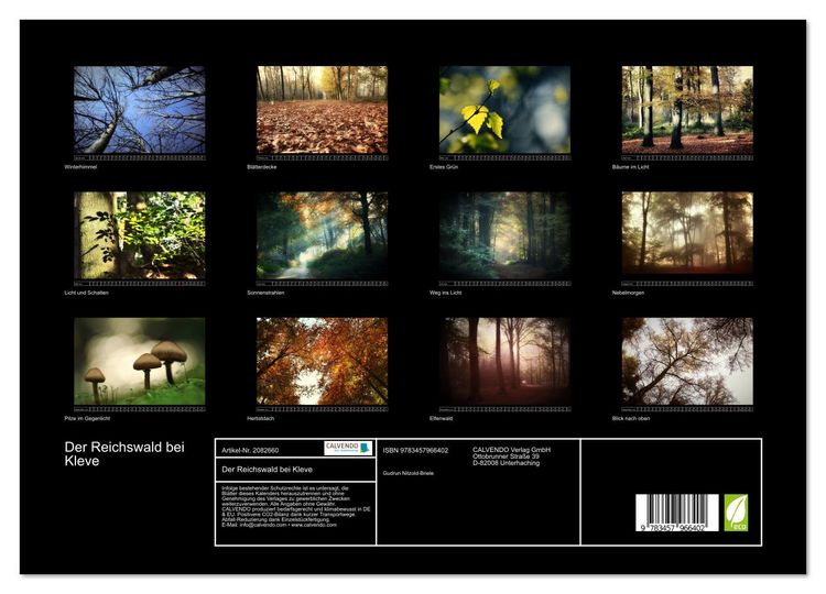 Produktbild: Der Reichswald bei Kleve (hochwertiger Premium Wandkalender 2026 DIN A2 quer), Kunstdruck in Hochglanz