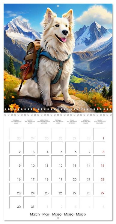 Produktbild: Cute pets discover the world (Wall Calendar 2026 12 &times; 12 Inch) CALVENDO 12 Month Wall Calendar