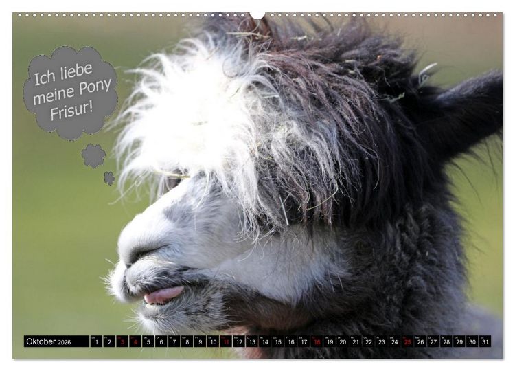 "Wenn Tiere sprechen könnten! Der lustige Sprüche Kalender