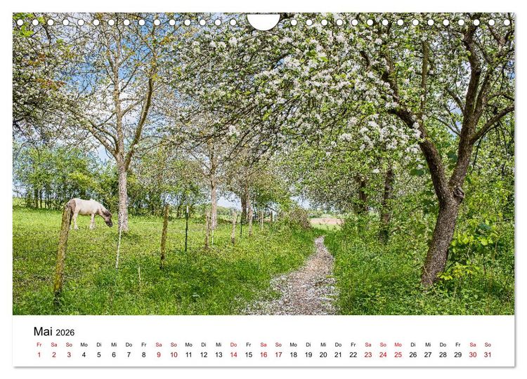 Produktbild: H&ouml;hepunkte des Siebengebirges (Wandkalender 2026 DIN A4 quer), CALVENDO Monatskalender