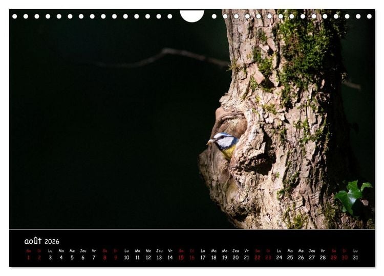 Produktbild: La nature pr&egrave;s de chez vous (Calendrier mural 2026 DIN A4 vertical), CALVENDO calendrier mensuel