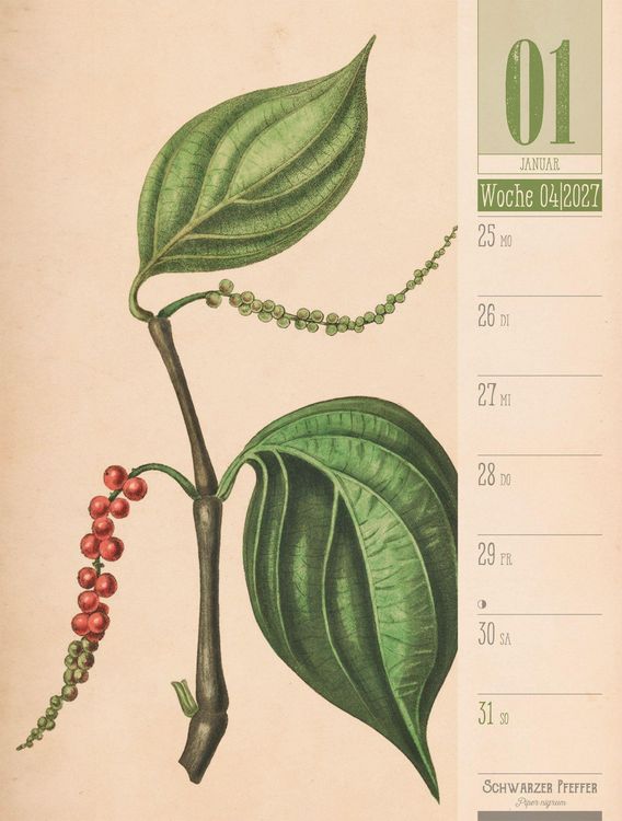 Produktbild: Culinarium Wochenplaner Kalender 2027 | K&uuml;che, Kr&auml;uter, Kurioses