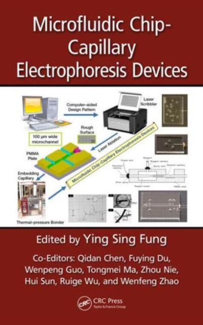 Produktbild: Microfluidic Chip-Capillary Electrophoresis Devices