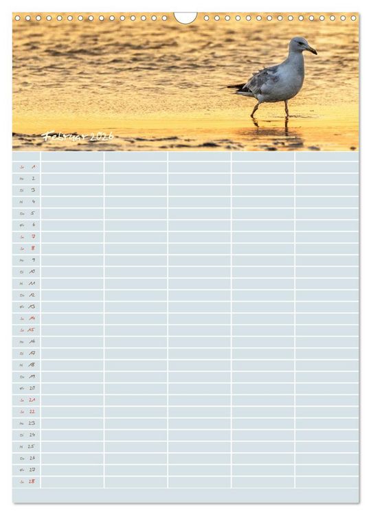 Produktbild: Kleine Sand-Sch&ouml;nheiten / Familienplaner (Wandkalender 2026 DIN A3 hoch), CALVENDO Monatskalender