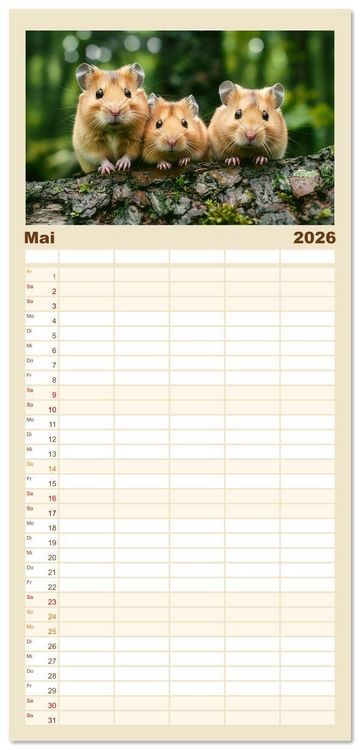 Produktbild: Familienplaner 2026 - Wild und flauschig - Hamster - Abenteuer in freier Natur mit 5 Spalten (Wandkalender, 21 x 45 cm) CALVENDO