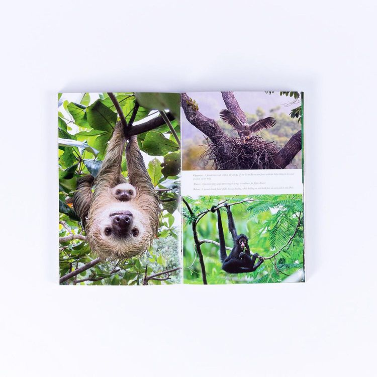 Produktbild: Living Planet