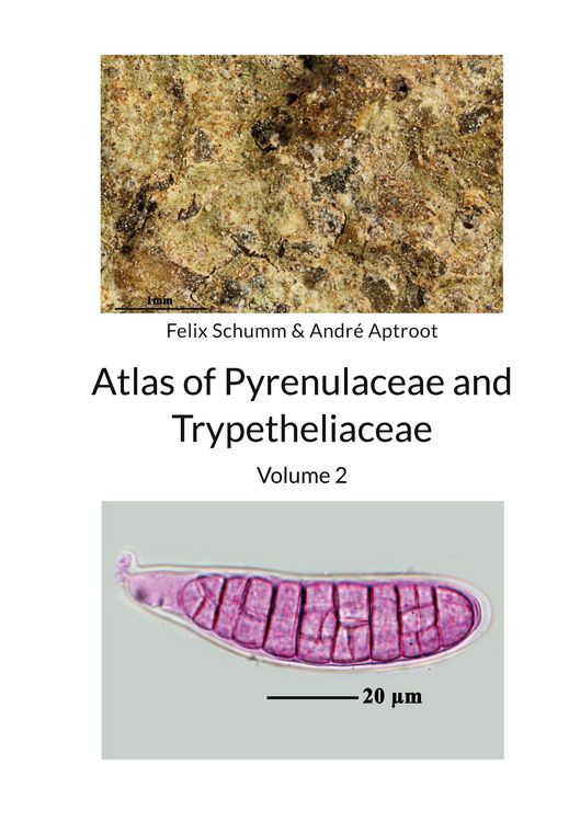 Produktbild: Atlas of Pyrenulaceae and Trypetheliaceae Volume 2