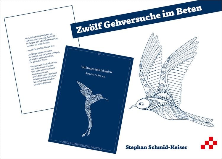 Produktbild: Zw&ouml;lf Gehversuche im Beten