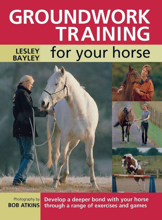 Produktbild: Groundwork Training for your Horse