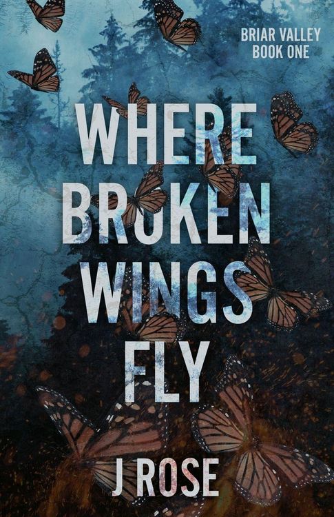 Produktbild: Where Broken Wings Fly