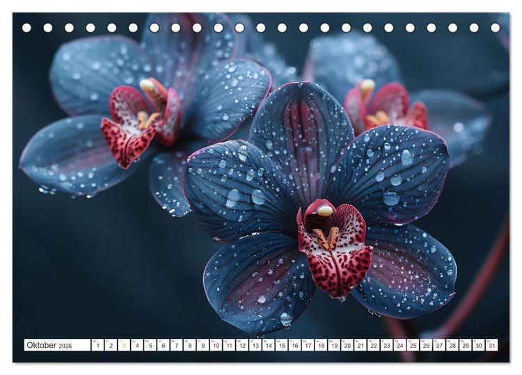 Produktbild: Orchideen - farbenfroh durchs Jahr (Tischkalender 2026 DIN A5 quer), CALVENDO Monatskalender