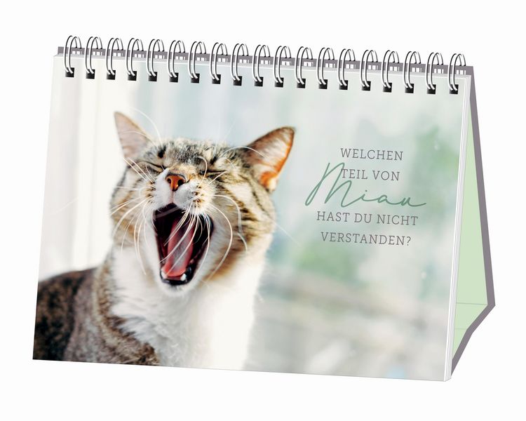 Produktbild: Kleine Tiger, gro&szlig;es Gl&uuml;ck!