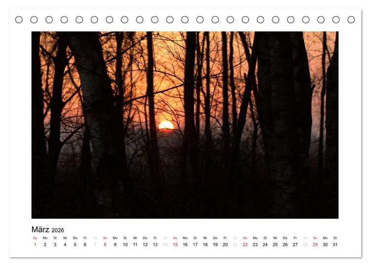 Produktbild: Winter im Teufelsmoor (Tischkalender 2026 DIN A5 quer), CALVENDO Monatskalender
