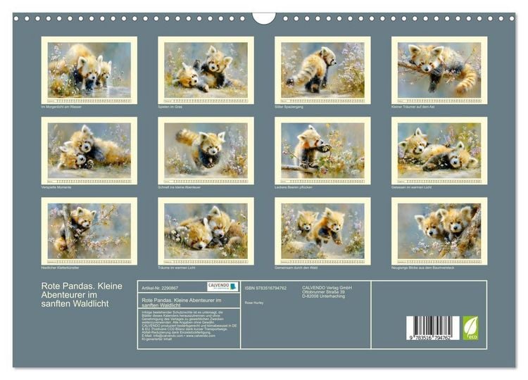 Produktbild: Rote Pandas. Kleine Abenteurer im sanften Waldlicht (Wandkalender 2027 DIN A3 quer), CALVENDO Monatskalender