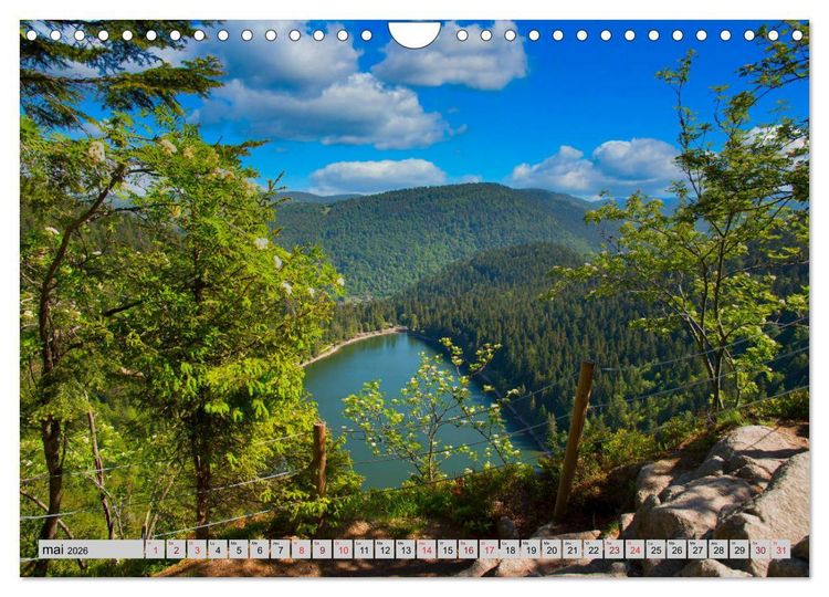 Produktbild: Splendeurs des Vosges (Calendrier mural 2026 DIN A4 vertical), CALVENDO calendrier mensuel