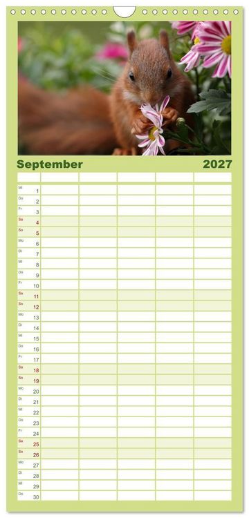Produktbild: Familienplaner 2027 - Eichh&ouml;rnchen Kinder mit 5 Spalten (Wandkalender, 21 x 45 cm) CALVENDO