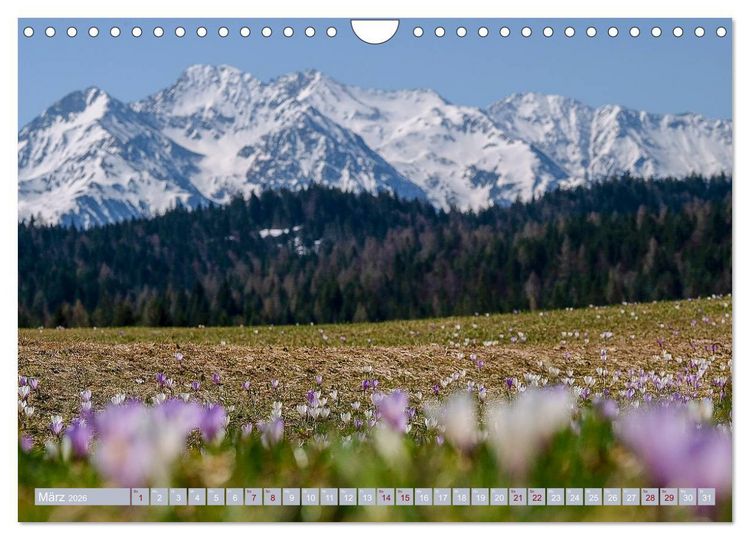 Produktbild: Mein Tirol und Alpenvorland (Wandkalender 2026 DIN A4 quer), CALVENDO Monatskalender