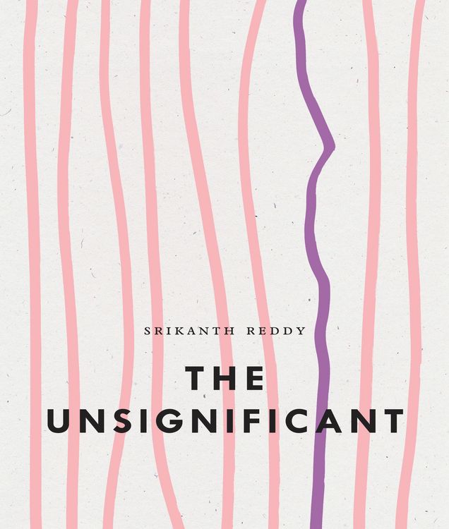 Produktbild: The Unsignificant