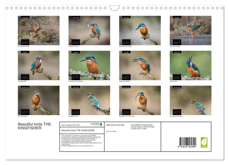 Produktbild: Beautiful birds THE KINGFISHER (Wall Calendar 2026 DIN A3 landscape), CALVENDO 12 Month Wall Calendar