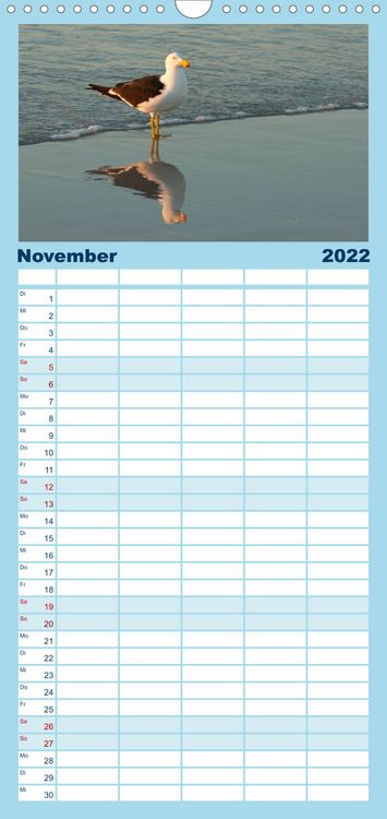 Produktbild: Familienplaner V&ouml;gel von "Down Under" Australien (Wandkalender 2022 , 21 cm x 45 cm, hoch)