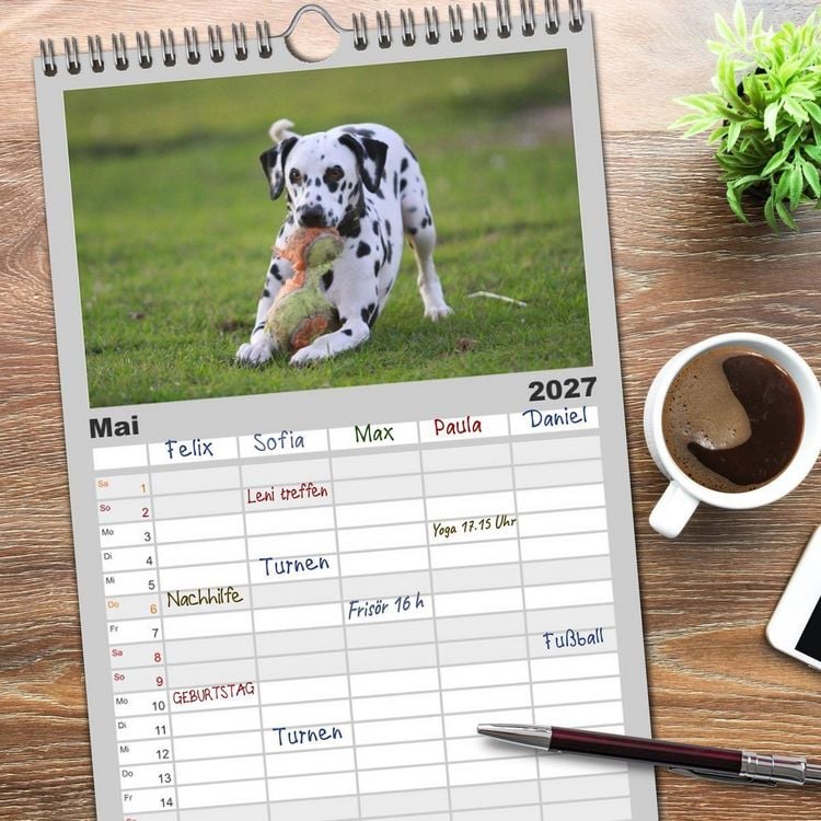Produktbild: Familienplaner 2027 - Gefleckte Freunde - Hunderasse Dalmatiner mit 5 Spalten (Wandkalender, 21 x 45 cm) CALVENDO